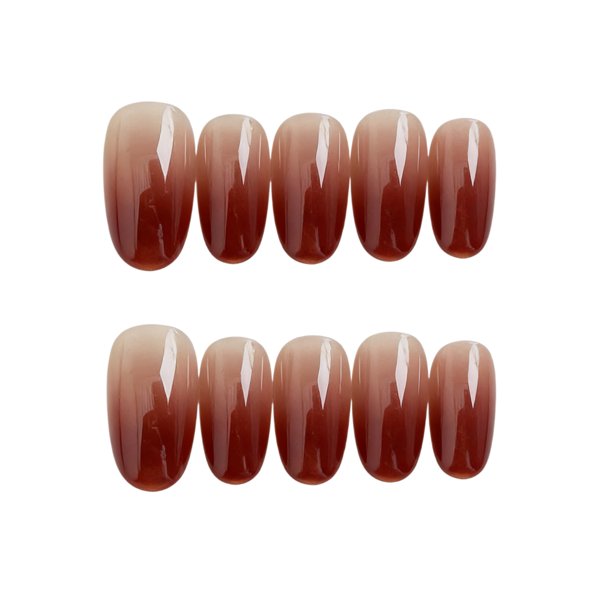 Set of brown gradient nail extensions on a white background
