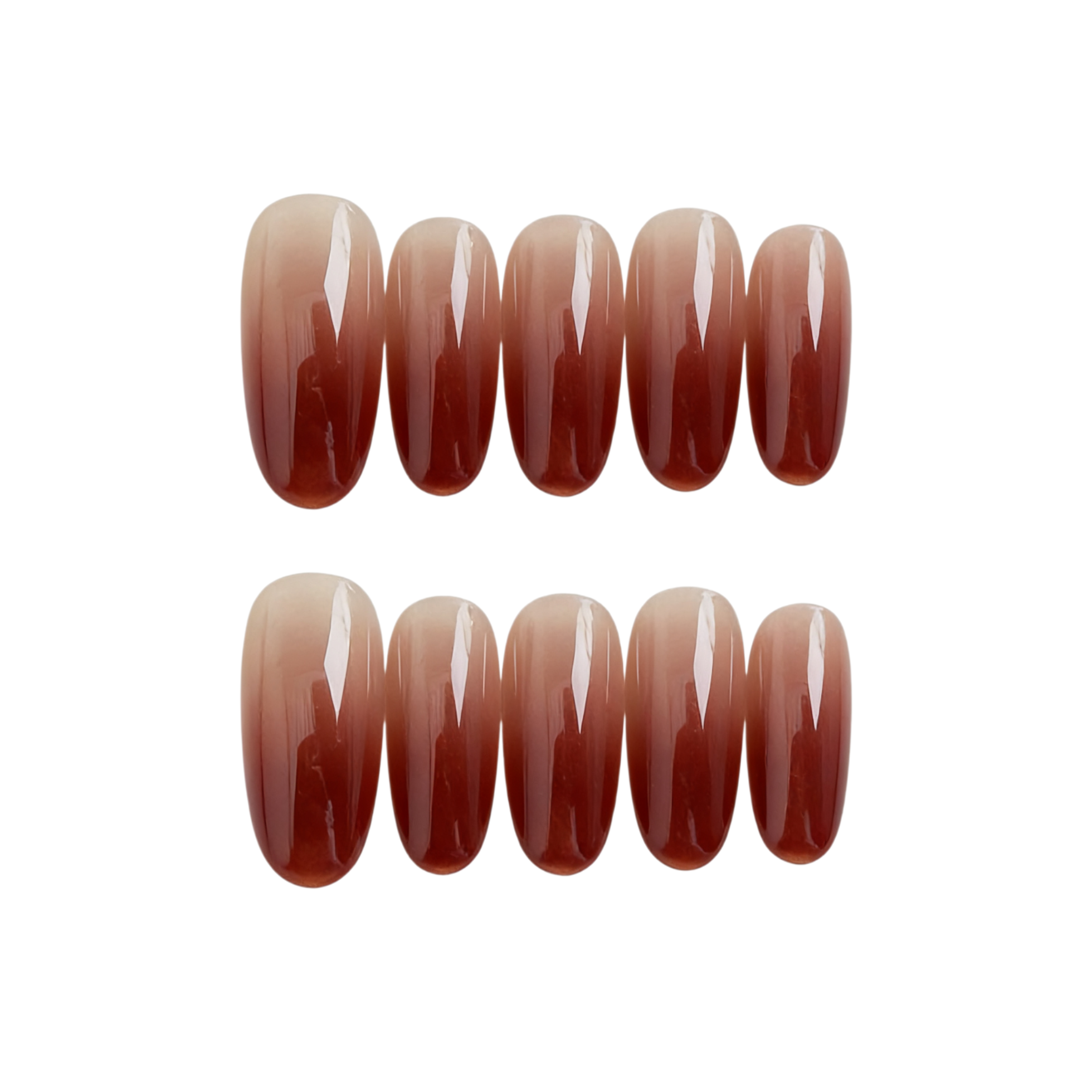 Set of brown gradient nail extensions on a white background