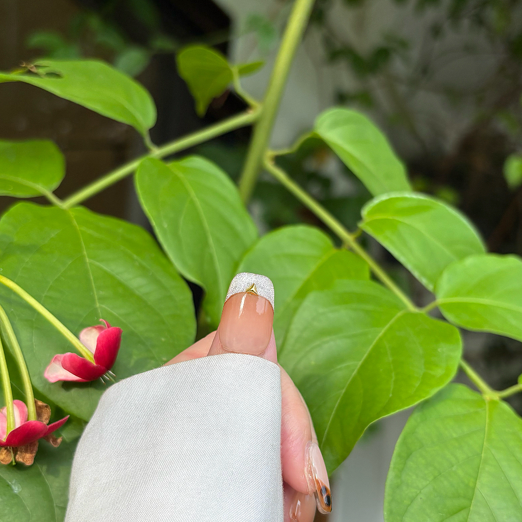 Hand with white sleeve holding a branch with green leaves and red flowers.