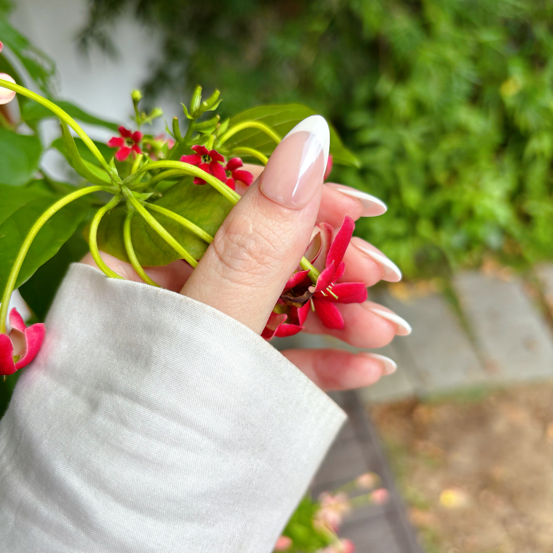 Hand holding a branch with red flowers and green leaves against a blurred natural background
