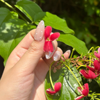 Hand with decorative nails holding a red flower against a green leafy background