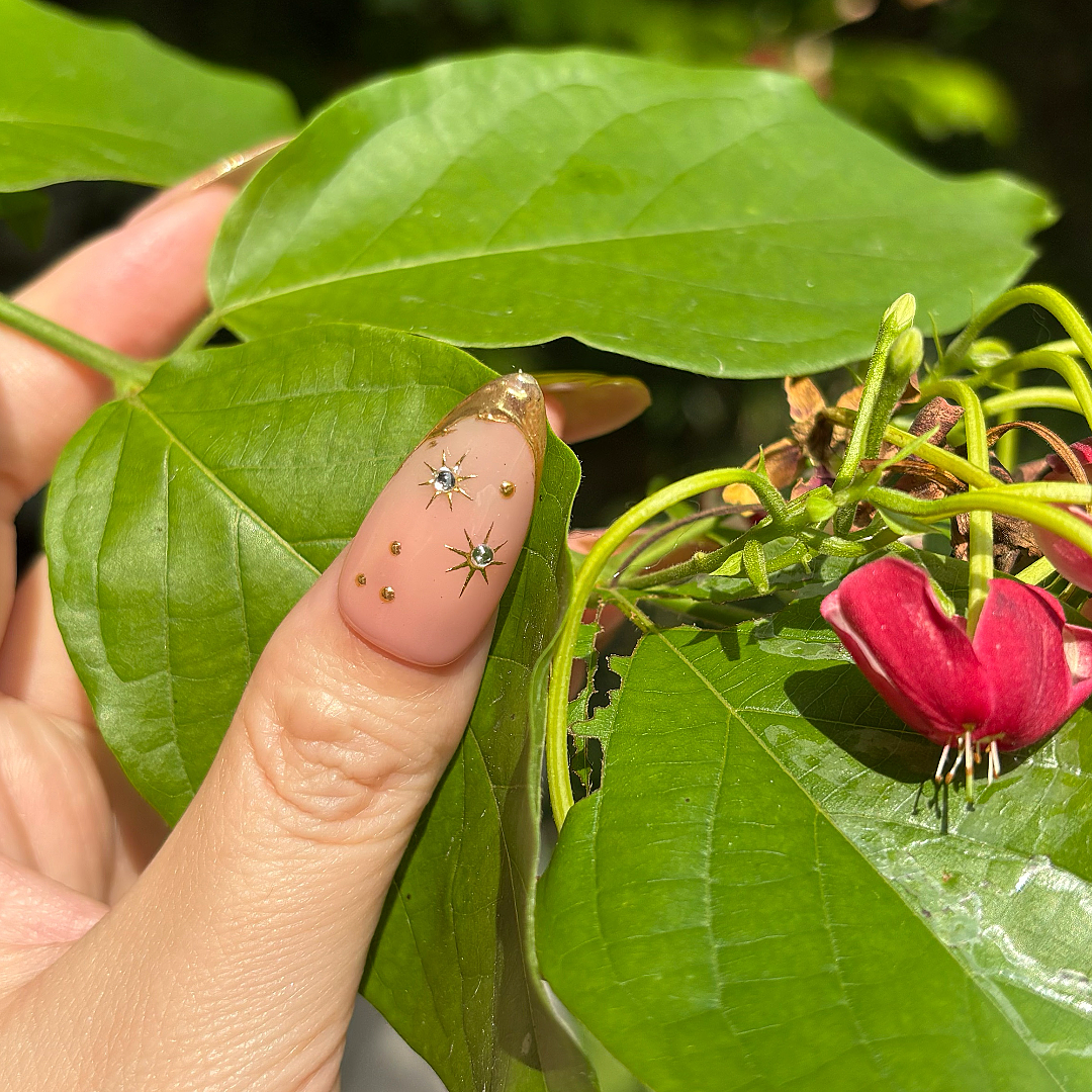 Finger with decorative nail art against a green leafy background